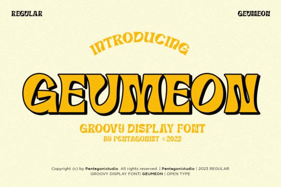 Geumeon Groovy Display: Retro Charm